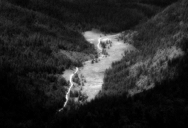 Dolina Jaworzynki - fot. Zbigniew Podsiadło 1